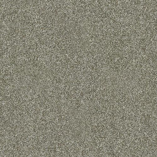 Inspiring by Shaw Floors Value - Silver Sage