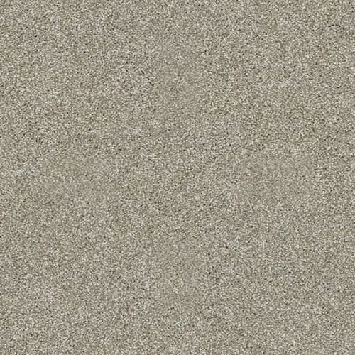 Inspiring by Shaw Floors Value - Gray Flannel