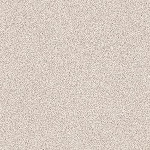 Gold Texture Tonal by Shaw Floors Value - Casa Blanca