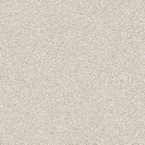 Gold Texture Tonal by Shaw Floors Value - Denali Texture