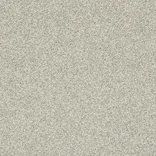 Just A Hint II by Shaw Floors Retail - Fog