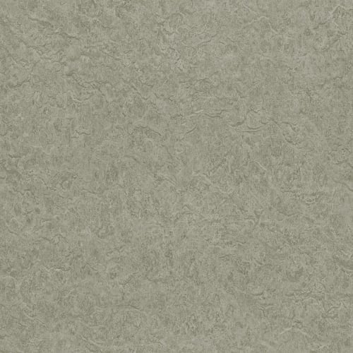 Petrichor