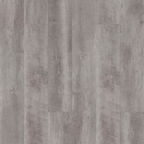 Mont Blanc Driftwood