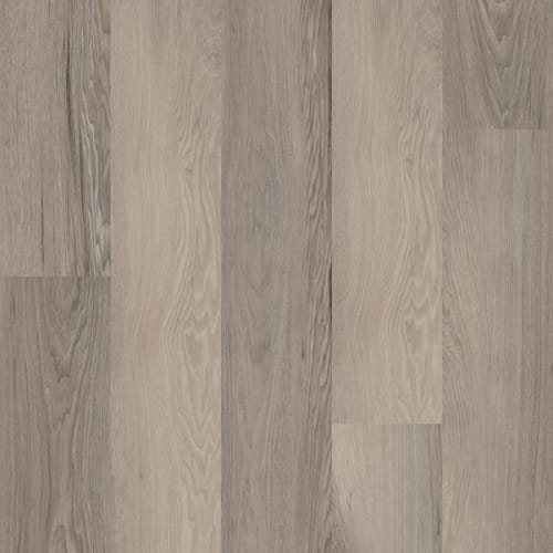 Salton Chestnut
