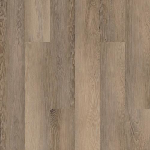 Brawley Chestnut
