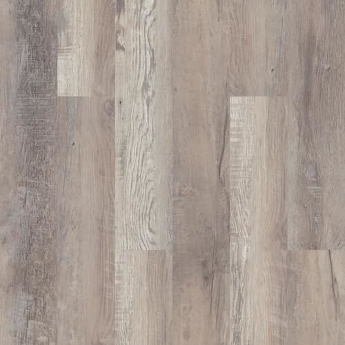 Caspian Oak