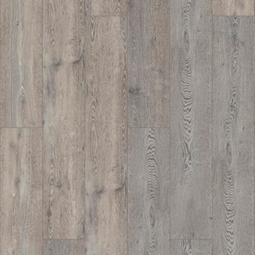 Bombay Oak