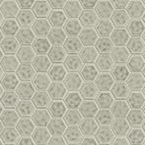 Geoscapes Hexagon by Shaw Industries - Taupe