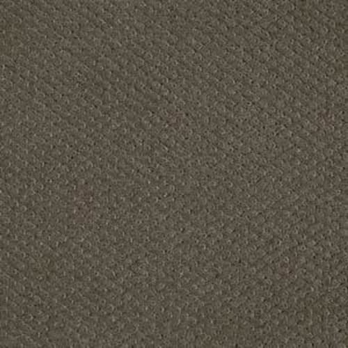 Square One by Shaw Floors Value - Graphite