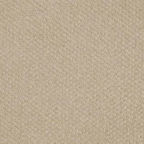 Square One by Shaw Floors Value - Wool Skein