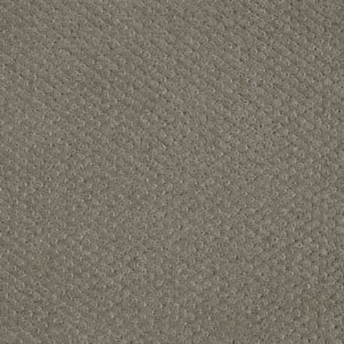 Square One by Shaw Floors Value - Pewter