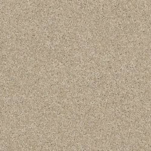 Source by Shaw Floors Value - Frost