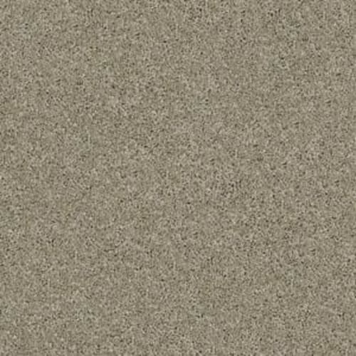 Source by Shaw Floors Value - Gray Flannel