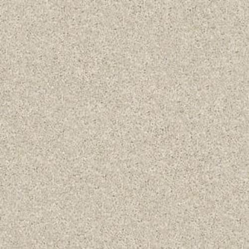 Source by Shaw Floors Value - Canvas