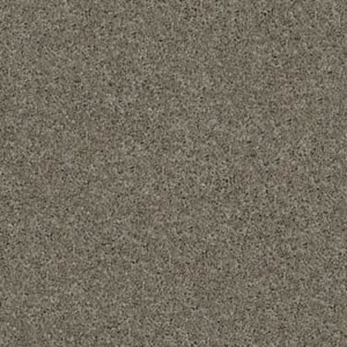 Source by Shaw Floors Value - Pewter