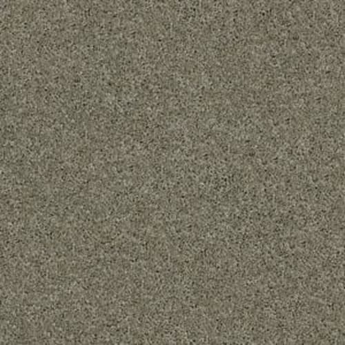 Source by Shaw Floors Value - Silver Sage