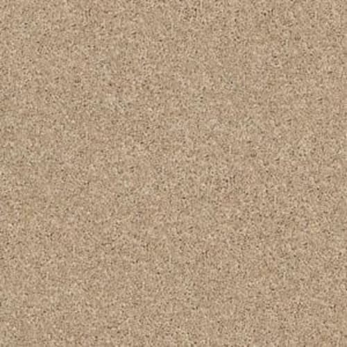 Source by Shaw Floors Value - Dunes