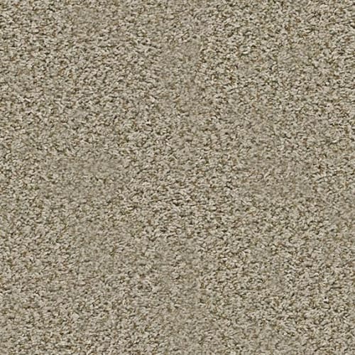 Sand Swept