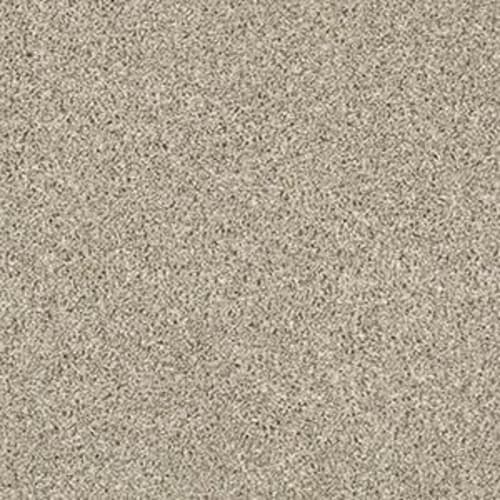 Shake IT UP (T) by Shaw Floors Retail - Magnolia Bloom