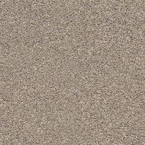 Shake IT UP (S) by Shaw Floors Retail - Forever Pewter