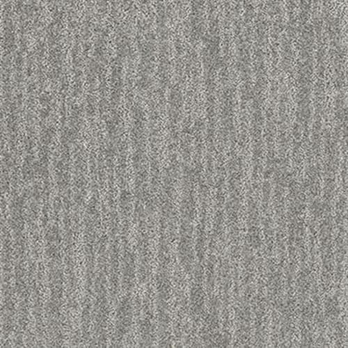 Grey Fox