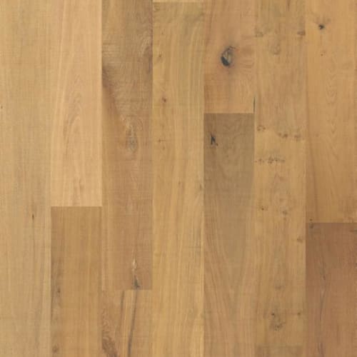 Thicket Bandsaw