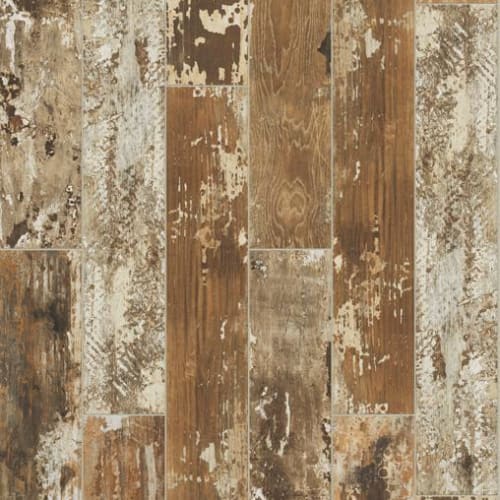 Poplar
