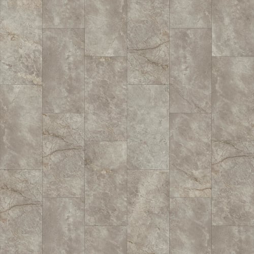 Abundant Tile by Shaw Industries - Donatello