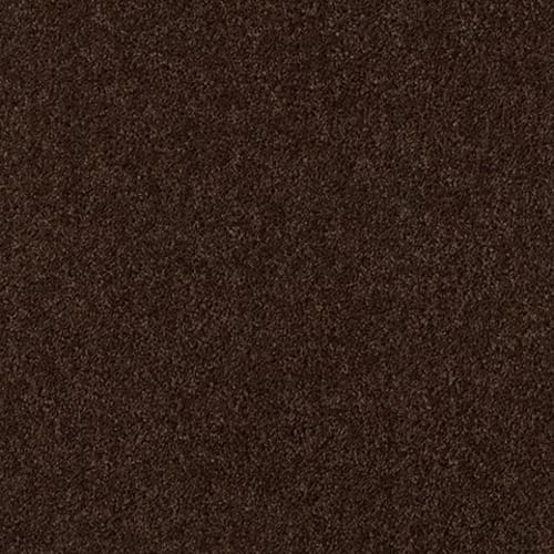 Break Away (S) by Shaw Floors Value - Coffee Bean