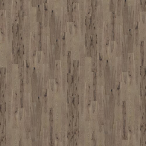 Inspirations Ash by Shaw Industries - Instinct