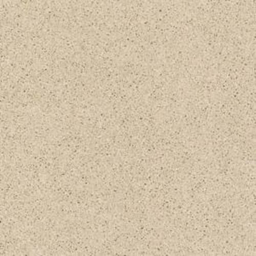 Loyal Beauty Iii by Shaw Floors Value - Cashew