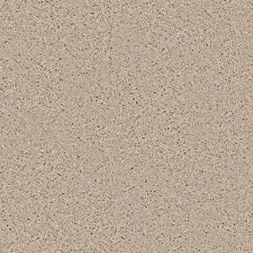 Loyal Beauty Iii by Shaw Floors Value - Stucco