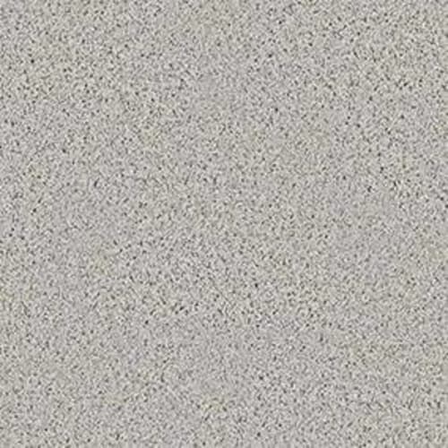 Loyal Beauty Iii by Shaw Floors Value - Sheer Silver