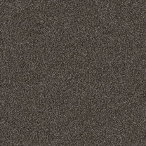 Color Flair by Shaw Floors Value - Gray Flannel