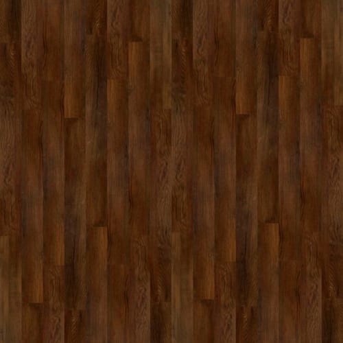 Warm Chestnut