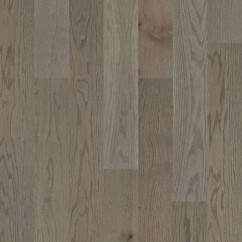 Mariner Oak by Shaw Industries - Journey