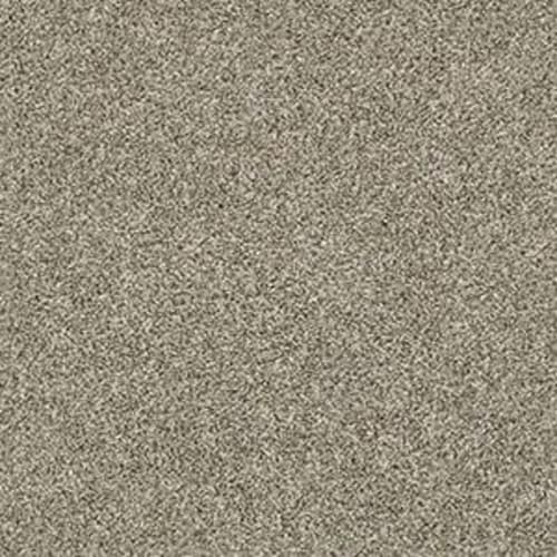 Grand Turk by Builder Flooring (Carpet)