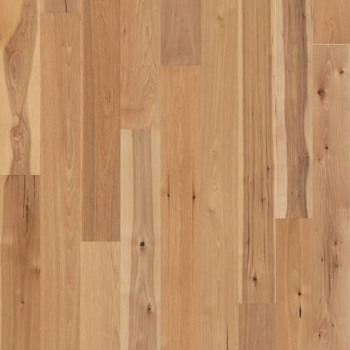 Buckingham Hickory by Shaw Industries