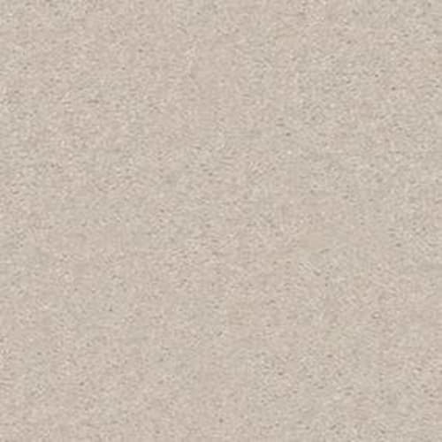 Aba 9103 by Shaw Industries - Light Taupe