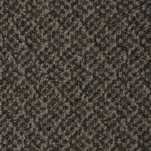 Mainstreet Innofibe - Network Iii 28 by Beaulieu - Canada - Indian Beige