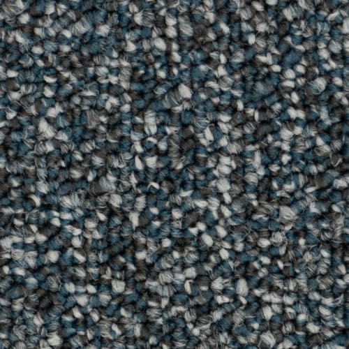 Blue Hydrangea