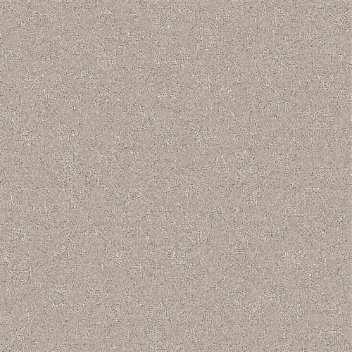Nyluxe Petguard - Cloudscape by Beaulieu - Canada - Clear Ochre Brown