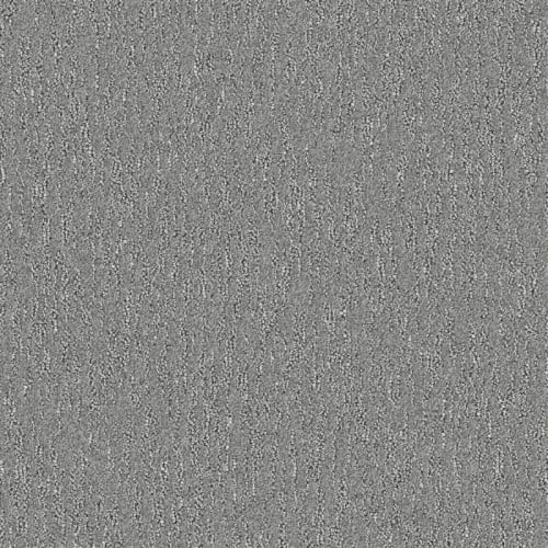 Morning Light
