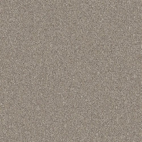 Partridge Brown