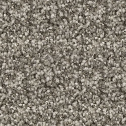 Sycamore Grey