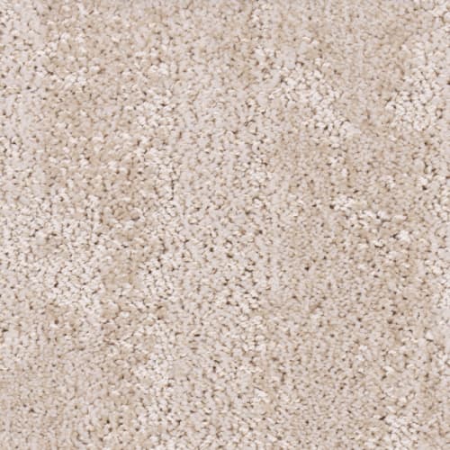 Tryesse Pro - Souvenir From Canada by Beaulieu - Canada - Beige Clay