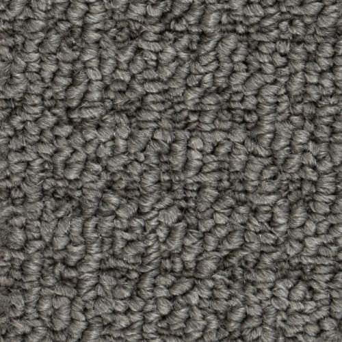North American Grey