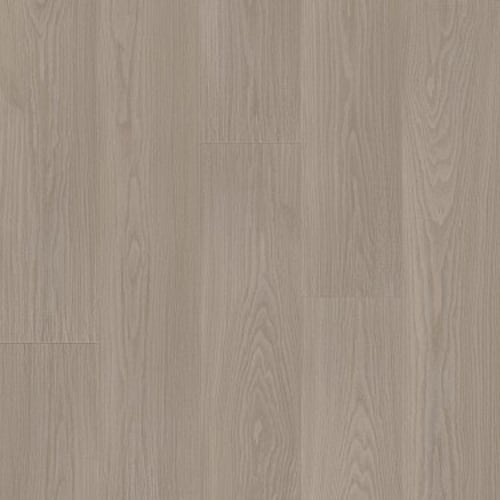 Distinction Plus by Shaw Industries - Earthy Taupe