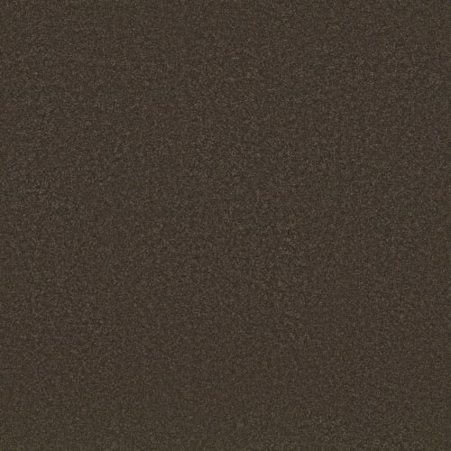 Dark Truffle
