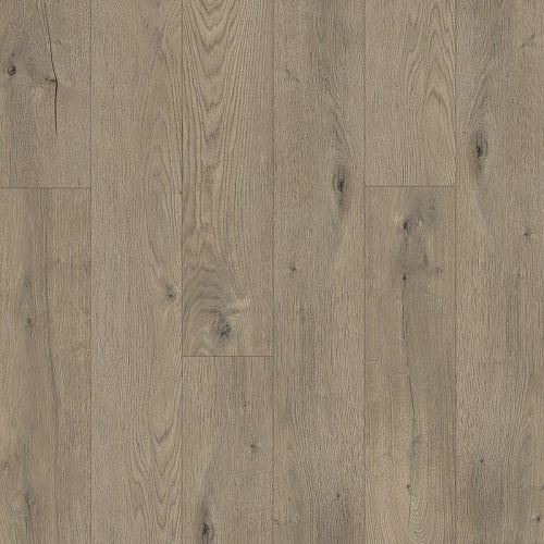 Willow Xl